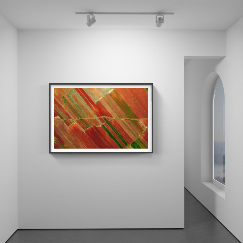 Harvested Hues