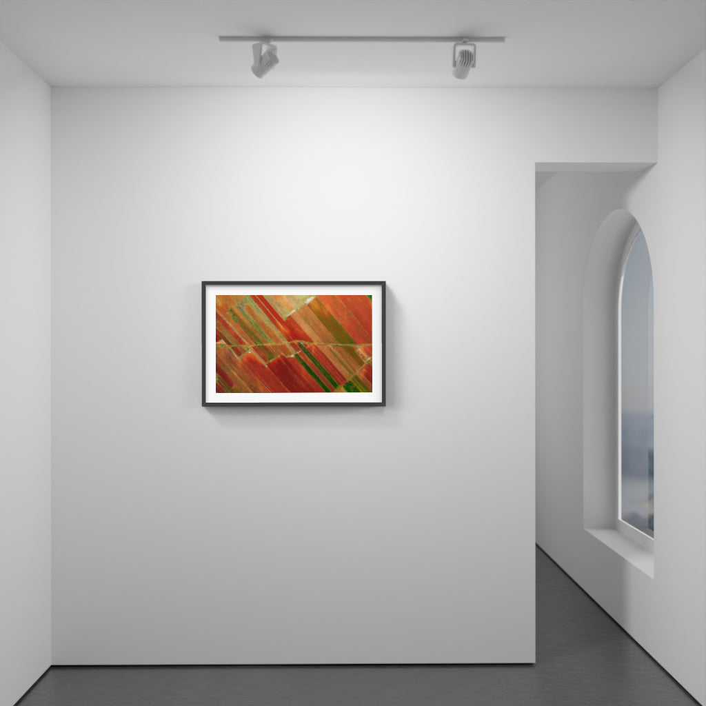 Harvested Hues