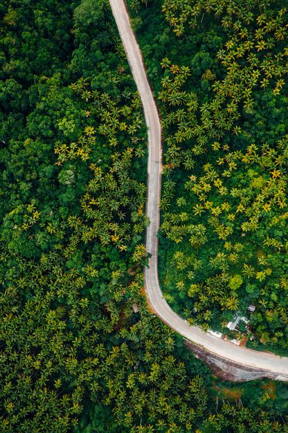 Green Corridor