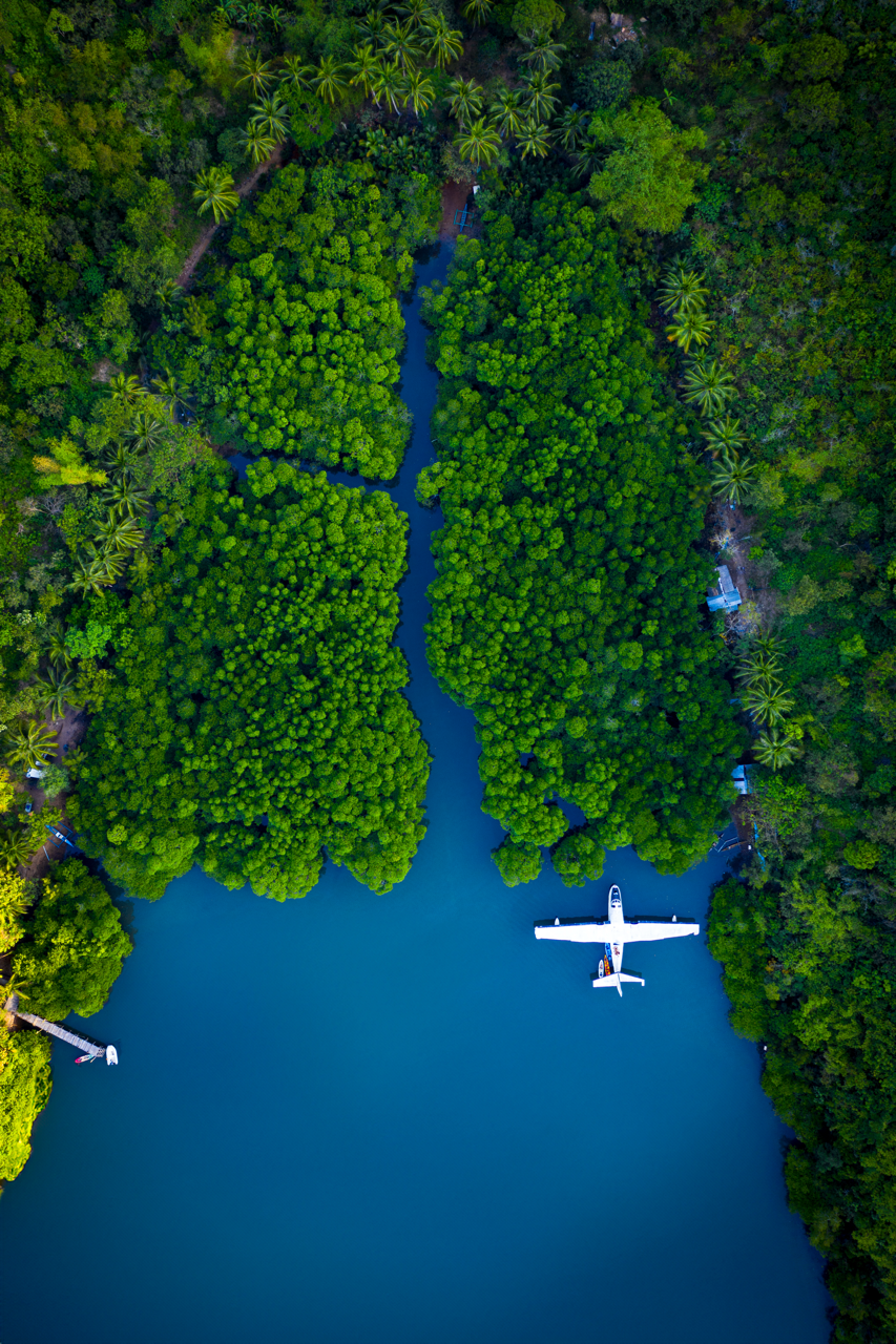 Sky High Mangroves